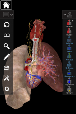 essential anatomy ipad download